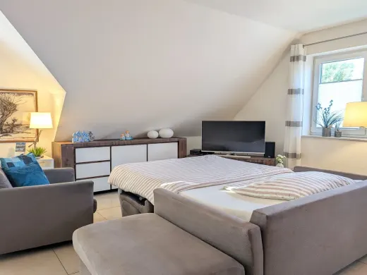 Sofa bed with mattress